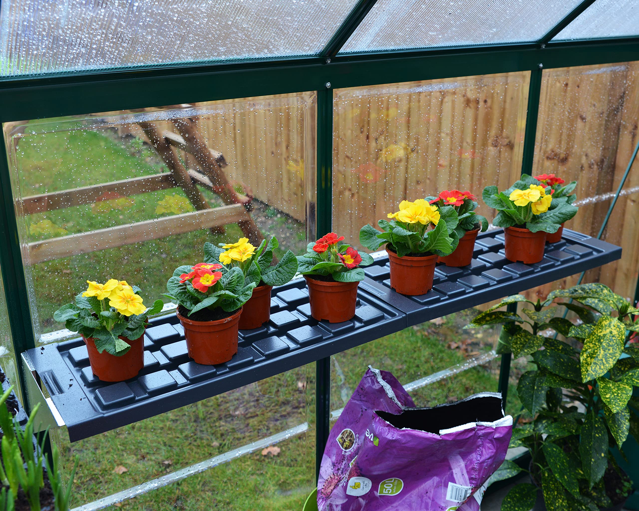 Palram - Canopia Greenhouse Shelf for Canopia Greenhouses,Black - Image 7