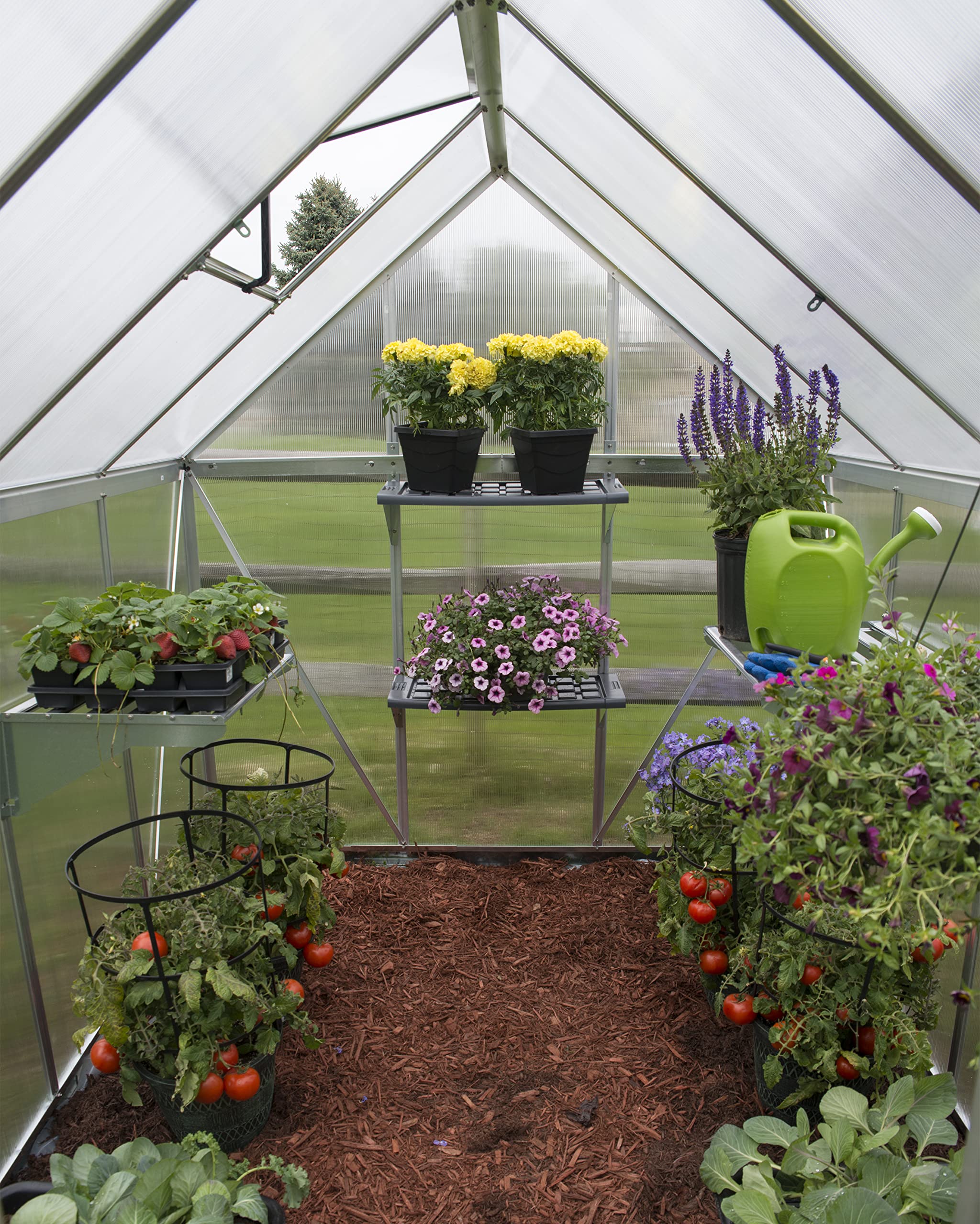 Palram - Canopia Greenhouse Shelf for Canopia Greenhouses,Black - Image 9