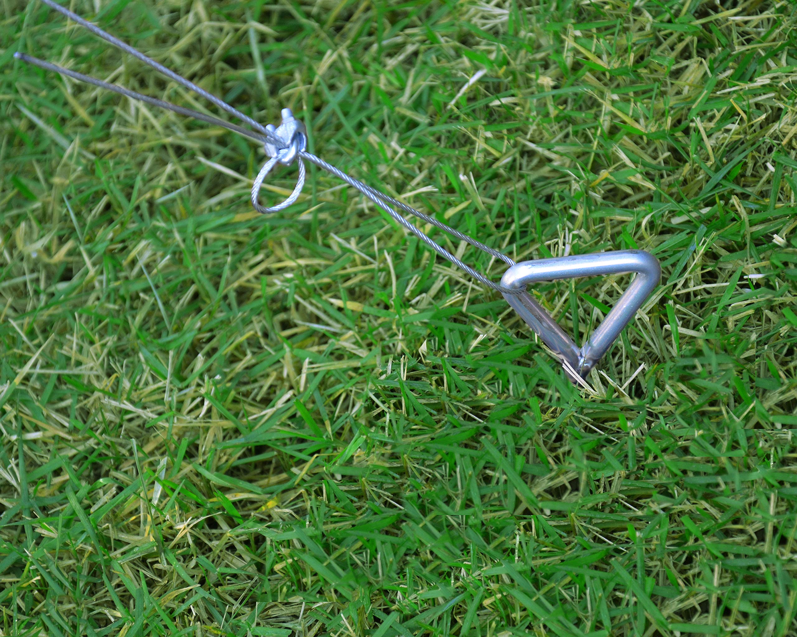 Palram - Canopia Heavy Duty Greenhouse Shelf Bundle (4 Piece) & Anchor Kit for Nature Greenhouses and Skylight Sheds - Image 6