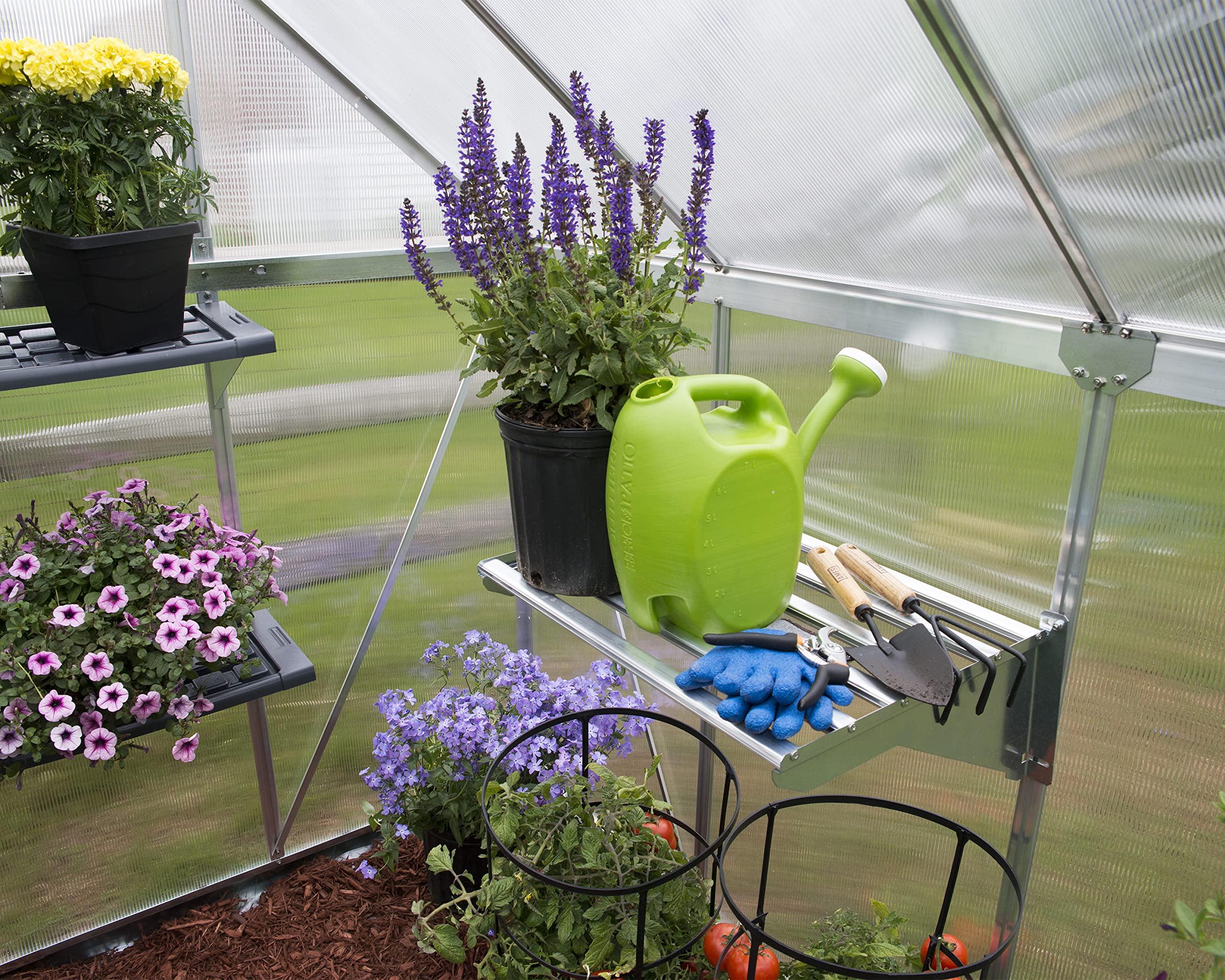 Palram - Canopia Heavy Duty Greenhouse Shelf Bundle (4 piece) - Image 6