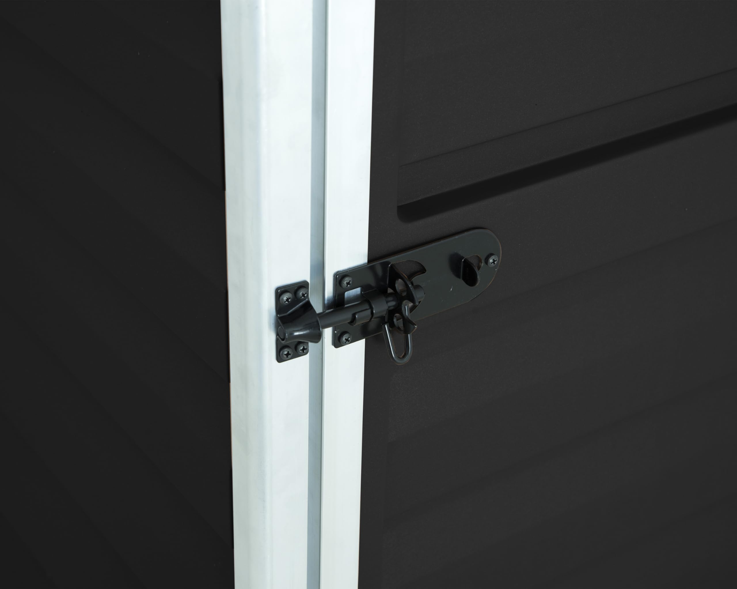 Palram - Canopia Skylight 4' x 6' Lean-to Storage Shed, Midnight Gray DIY Backyard Shed, Heavy Duty Polycarbonate Panels, Aluminum Frame Outdoor Storage for Lawn Mower, Bike, Garden Tools - Image 6