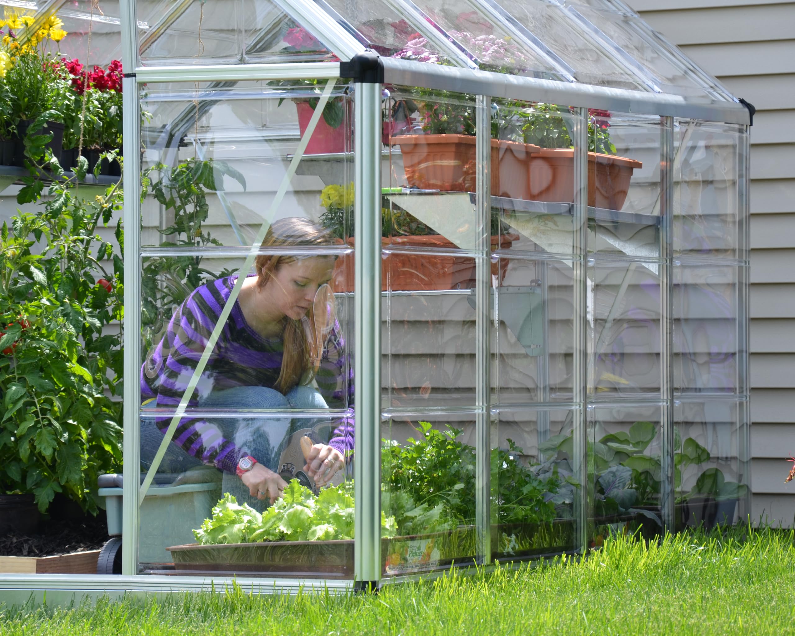 Palram - Canopia Snap & Grow 6 Ft. x 8 Ft. Greenhouse Kit Hobby DIY Walk in Green House Heavy Duty Polycarbonate, Aluminum Frame, with Lockable Door and Vent for Outdoors, Garden, Backyard in Silver - Image 12