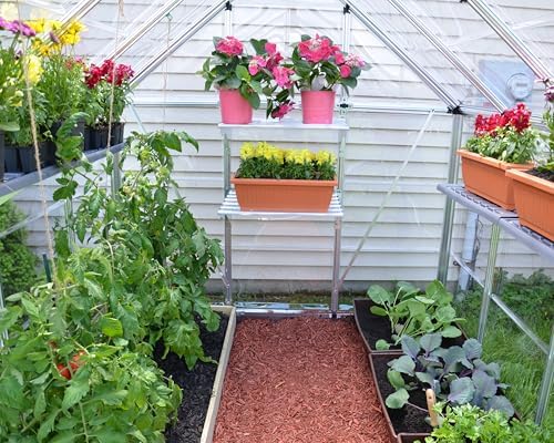 Palram - Canopia Snap & Grow 6 Ft. x 8 Ft. Greenhouse Kit Hobby DIY Walk in Green House Heavy Duty Polycarbonate, Aluminum Frame, with Lockable Door and Vent for Outdoors, Garden, Backyard in Silver - Image 7