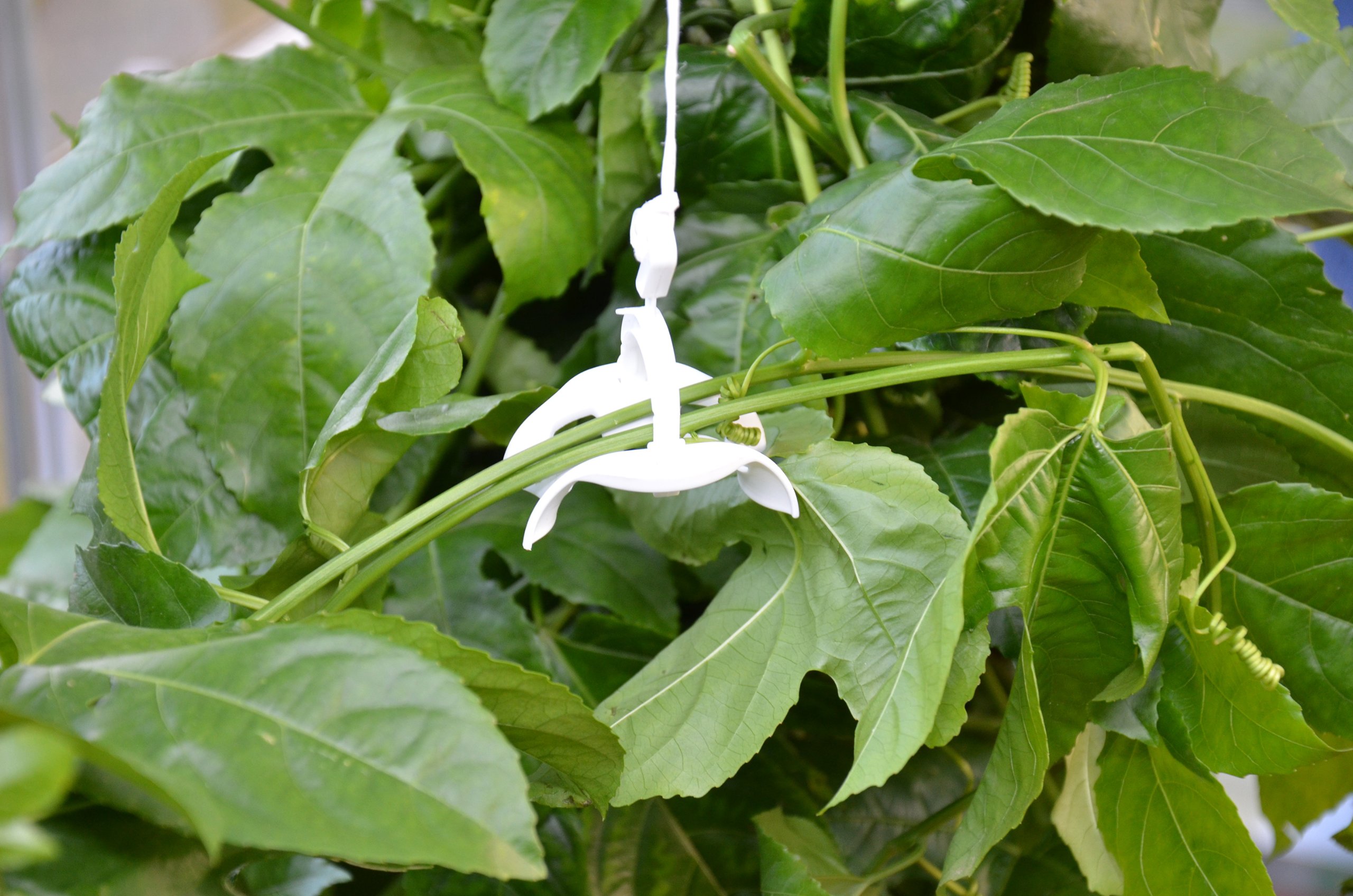 Palram - Canopia Trellising Kit Pro for Canopia Greenhouses - Image 4